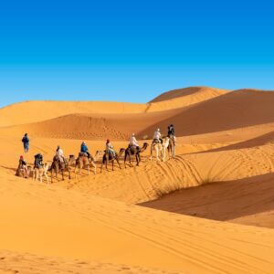 desert, the sand dunes, caravan-4948425.jpg