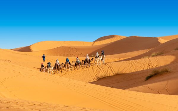 desert, the sand dunes, caravan-4948425.jpg